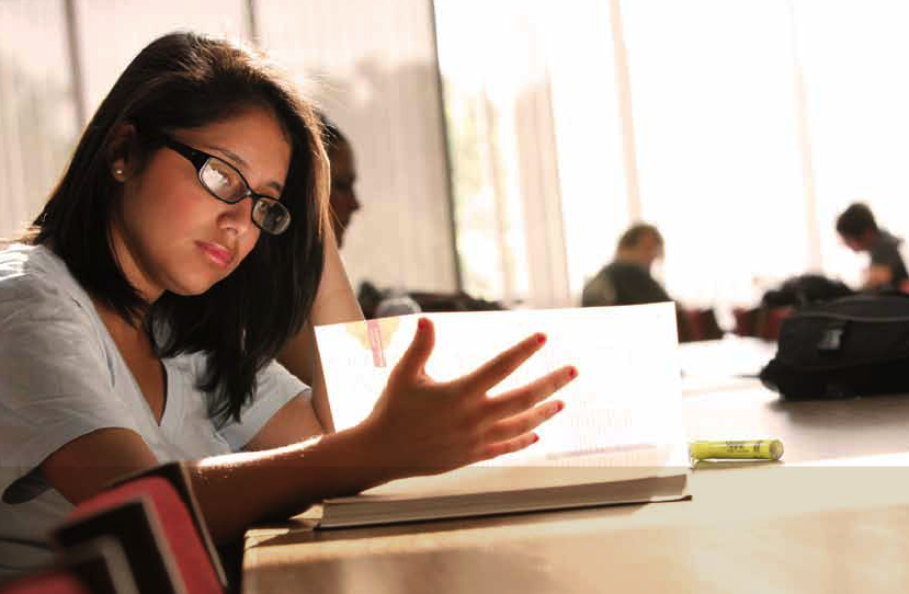 studies where to buy essay